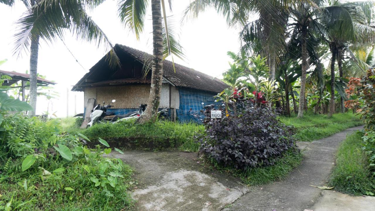 Villa Magica Ubud Dış mekan fotoğraf