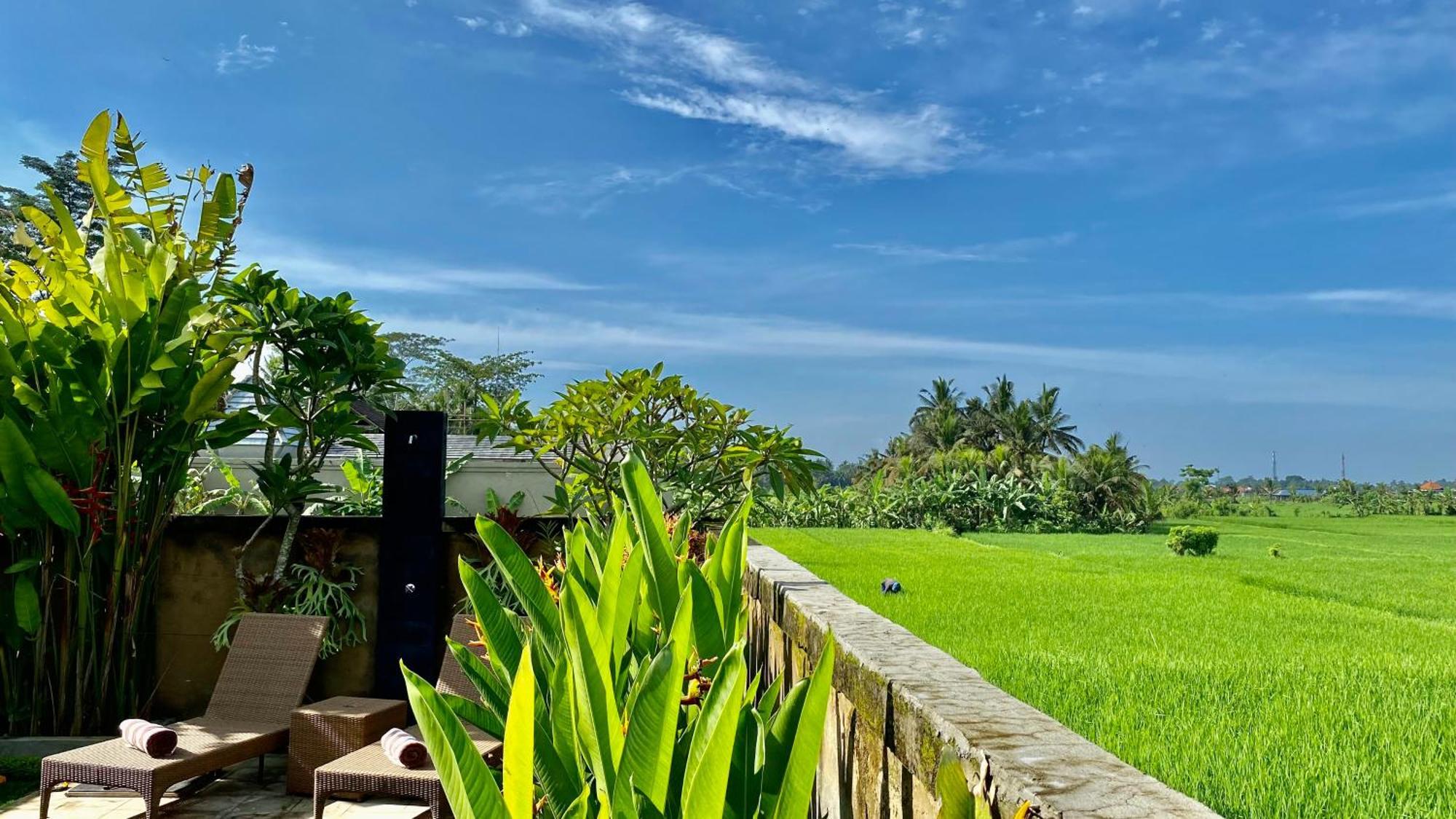 Villa Magica Ubud Dış mekan fotoğraf