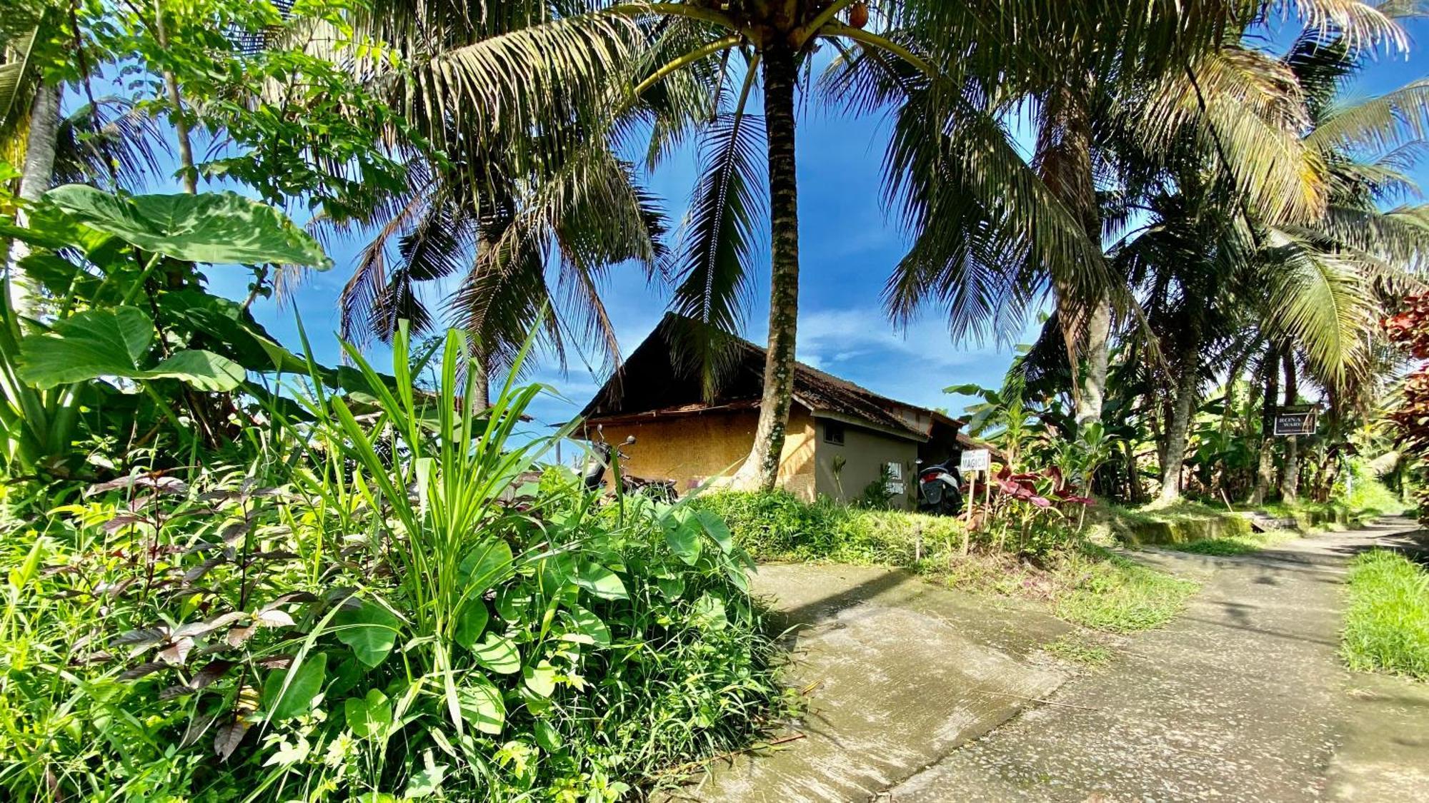 Villa Magica Ubud Dış mekan fotoğraf