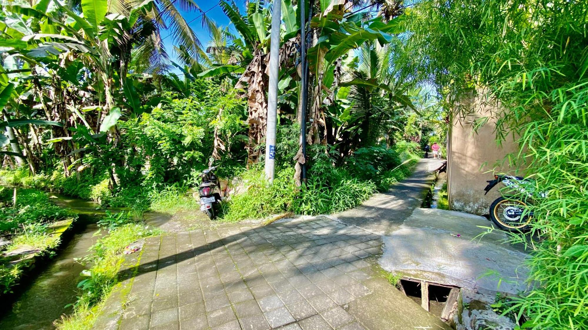Villa Magica Ubud Dış mekan fotoğraf