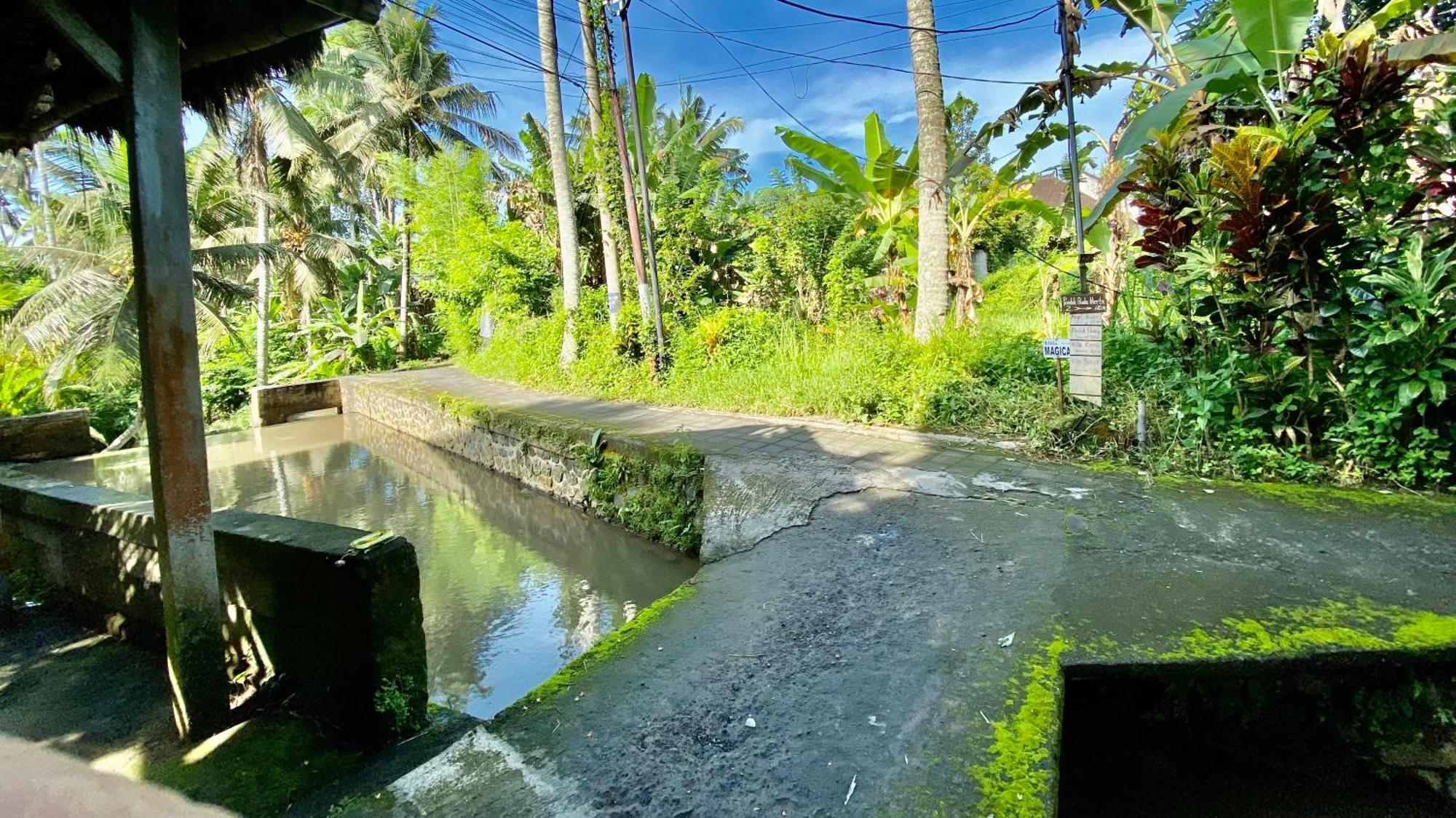 Villa Magica Ubud Dış mekan fotoğraf